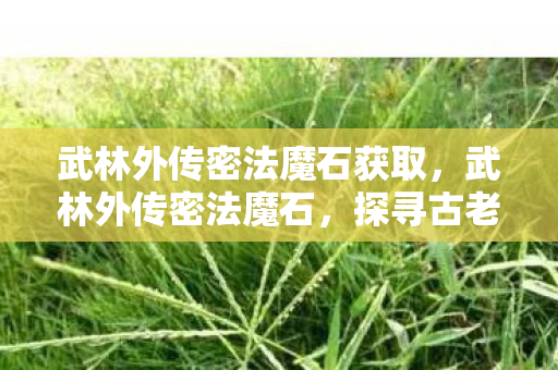 武林外传密法魔石获取，武林外传密法魔石，探寻古老武学的神秘传承
