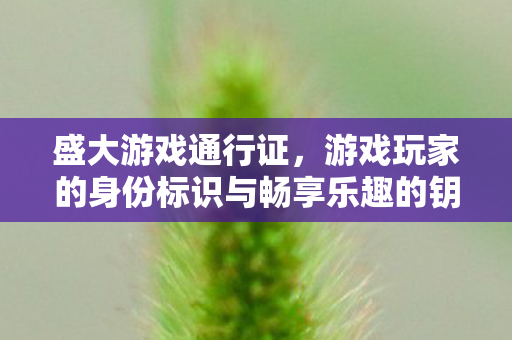 盛大游戏通行证，游戏玩家的身份标识与畅享乐趣的钥匙