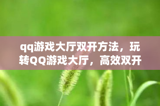 qq游戏大厅双开方法，玩转QQ游戏大厅，高效双开，畅享双倍乐趣