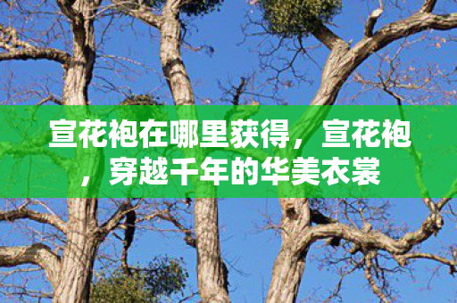 宣花袍在哪里获得，宣花袍，穿越千年的华美衣裳