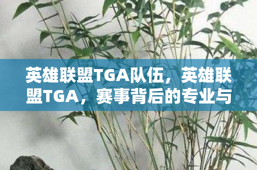 英雄联盟TGA队伍，英雄联盟TGA，赛事背后的专业与激情