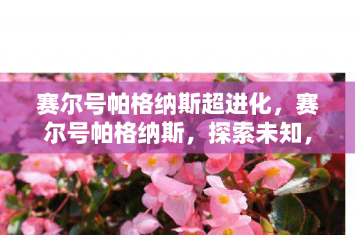 赛尔号帕格纳斯超进化，赛尔号帕格纳斯，探索未知，挑战极限