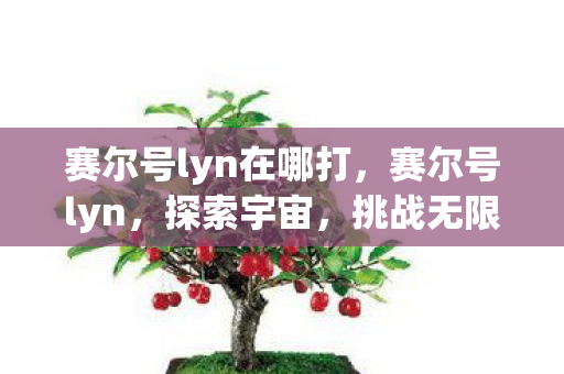 赛尔号lyn在哪打，赛尔号lyn，探索宇宙，挑战无限