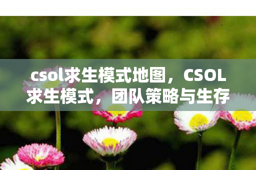 csol求生模式地图，CSOL求生模式，团队策略与生存挑战的深度解析