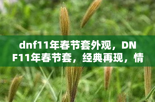 dnf11年春节套外观，DNF11年春节套，经典再现，情怀与实力并存