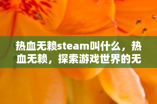 热血无赖steam叫什么，热血无赖，探索游戏世界的无限可能