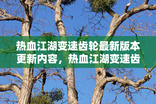 热血江湖变速齿轮最新版本更新内容，热血江湖变速齿轮，提升游戏体验的利器
