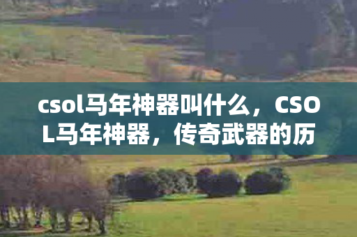 csol马年神器叫什么，CSOL马年神器，传奇武器的历史与影响