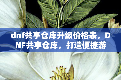 dnf共享仓库升级价格表，DNF共享仓库，打造便捷游戏体验的新选择