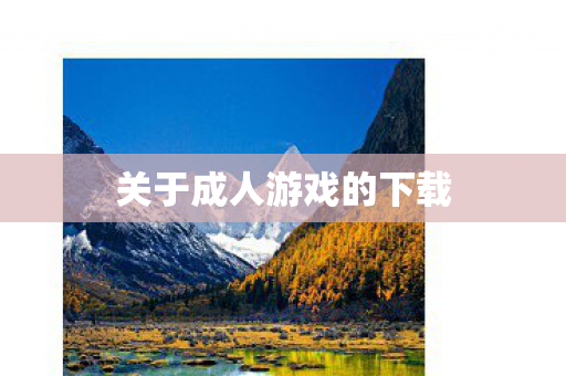 关于成人游戏的下载 关于成人游戏的下载