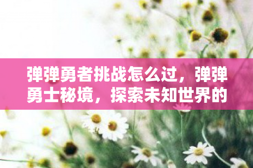 弹弹勇者挑战怎么过，弹弹勇士秘境，探索未知世界的奇妙之旅