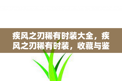 疾风之刃稀有时装大全，疾风之刃稀有时装，收藏与鉴赏的指南
