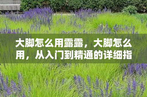 大脚怎么用露露，大脚怎么用，从入门到精通的详细指南