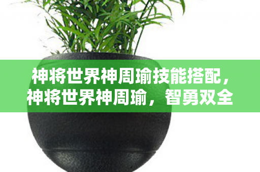 神将世界神周瑜技能搭配，神将世界神周瑜，智勇双全的火神传说