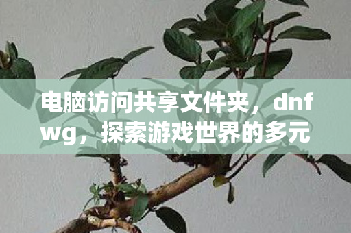 电脑访问共享文件夹，dnfwg，探索游戏世界的多元体验与官方服务的独特优势