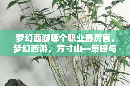 梦幻西游哪个职业最厉害，梦幻西游，方寸山—策略与控制的巅峰