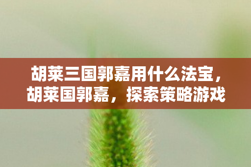 胡莱三国郭嘉用什么法宝，胡莱国郭嘉，探索策略游戏的智慧与魅力