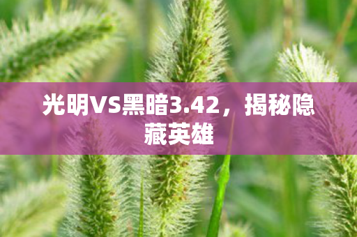 光明VS黑暗3.42,揭秘隐藏英雄 光明VS黑暗3.42,揭秘隐藏英雄