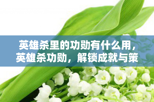 英雄杀里的功勋有什么用，英雄杀功勋，解锁成就与策略提升的全面指南