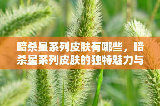 暗杀星系列皮肤有哪些，暗杀星系列皮肤的独特魅力与游戏文化