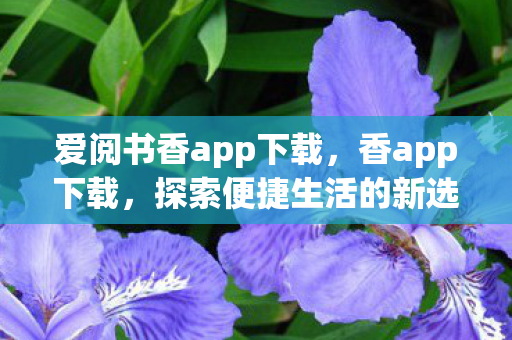 爱阅书香app下载，香app下载，探索便捷生活的新选择