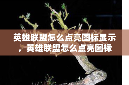 英雄联盟怎么点亮图标显示，英雄联盟怎么点亮图标