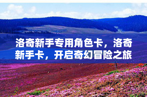 洛奇新手专用角色卡，洛奇新手卡，开启奇幻冒险之旅