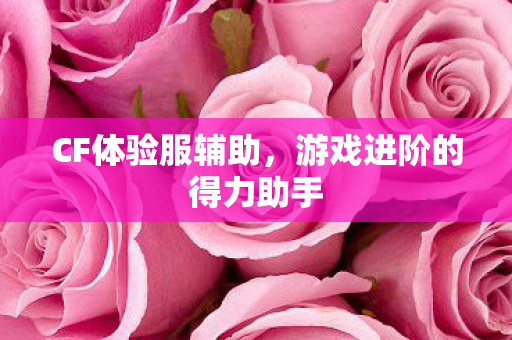 CF体验服辅助,游戏进阶的得力助手 CF体验服辅助,游戏进阶的得力助手
