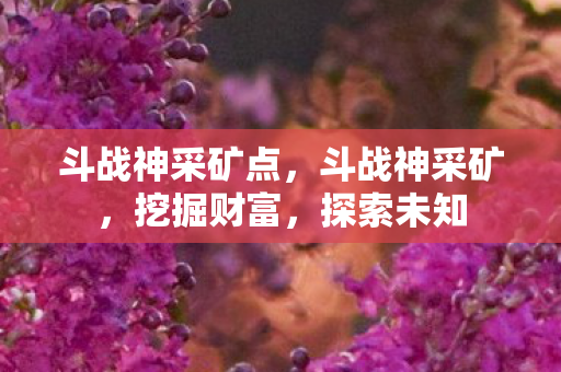 斗战神采矿点，斗战神采矿，挖掘财富，探索未知