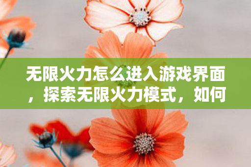 无限火力怎么进入游戏界面，探索无限火力模式，如何轻松进入