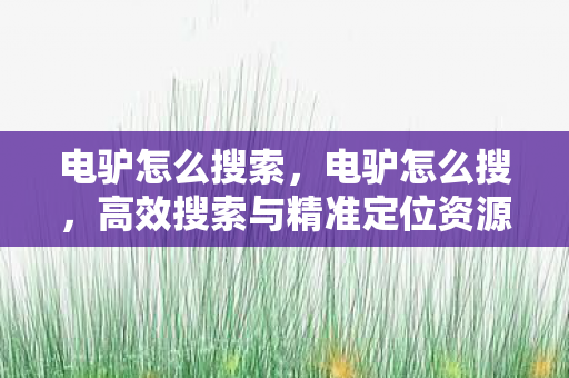 电驴怎么搜索，电驴怎么搜，高效搜索与精准定位资源的方法
