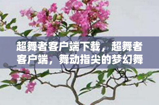 超舞者客户端下载，超舞者客户端，舞动指尖的梦幻舞台