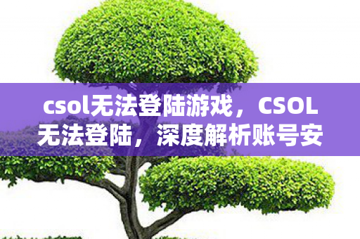 csol无法登陆游戏，CSOL无法登陆，深度解析账号安全及解决方案