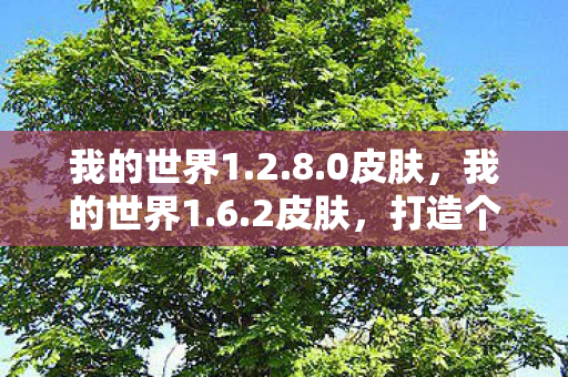 我的世界1.2.8.0皮肤，我的世界1.6.2皮肤，打造个性化游戏世界的艺术