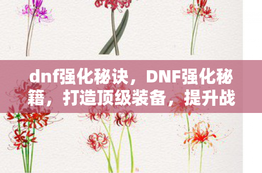dnf强化秘诀，DNF强化秘籍，打造顶级装备，提升战斗力的终极指南