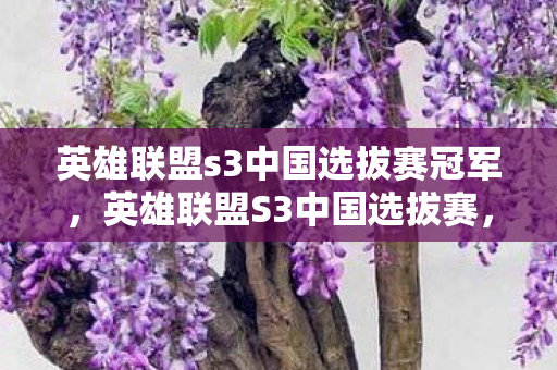 英雄联盟s3中国选拔赛冠军，英雄联盟S3中国选拔赛，战火重燃，谁将问鼎？