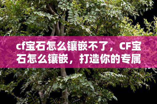 cf宝石怎么镶嵌不了，CF宝石怎么镶嵌，打造你的专属神器