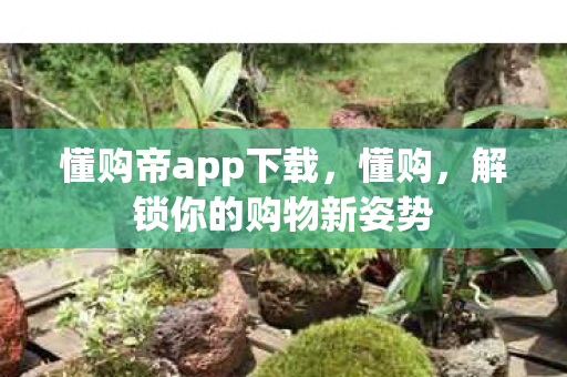 懂购帝app下载，懂购，解锁你的购物新姿势