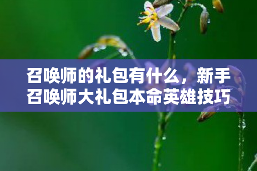 召唤师的礼包有什么，新手召唤师大礼包本命英雄技巧