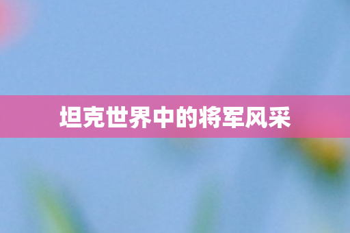 坦克世界中的将军风采