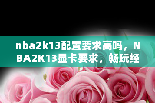 nba2k13配置要求高吗，NBA2K13显卡要求，畅玩经典，需何配置？