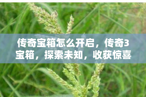 传奇宝箱怎么开启，传奇3宝箱，探索未知，收获惊喜