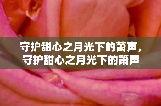守护甜心之月光下的萧声，守护甜心之月光下的箫声