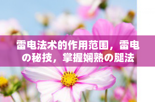 雷电法术的作用范围，雷电の秘技，掌握娴熟の腿法