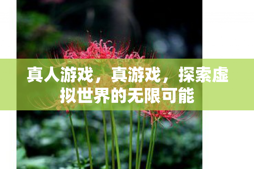 真人游戏，真游戏，探索虚拟世界的无限可能