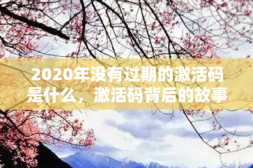 2020年没有过期的激活码是什么，激活码背后的故事，2020年的珍贵记忆