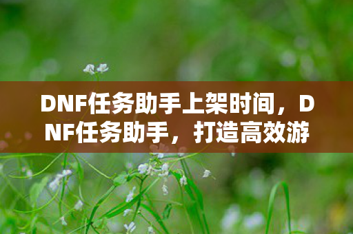 DNF任务助手上架时间，DNF任务助手，打造高效游戏体验的必备工具