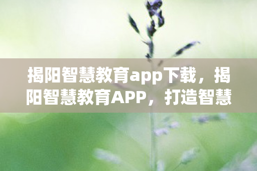 揭阳智慧教育app下载，揭阳智慧教育APP，打造智慧教育新生态