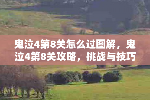 鬼泣4第8关怎么过图解，鬼泣4第8关攻略，挑战与技巧