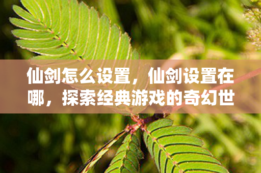 仙剑怎么设置，仙剑设置在哪，探索经典游戏的奇幻世界